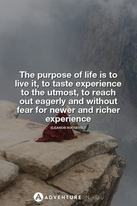 El propósito de la vida es vivirla, saborear la experiencia al máximo, alcanzar ansiosamente y sin miedo por una experiencia más nueva y más rica