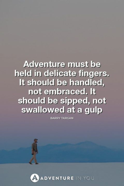 La aventura debe sostenerse en dedos delicados.  Debe ser manejado, no abrazado.  Debe beberse a sorbos, no tragarse de un trago Barry Targan 