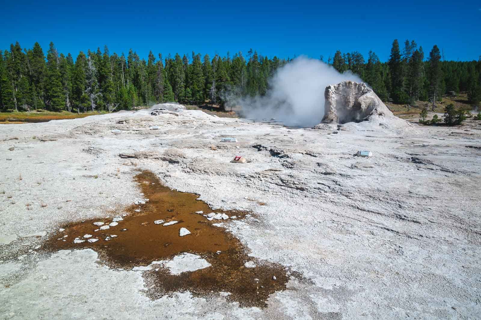 Qué hacer en el Géiser Gigante del Parque Nacional de Yellowstone