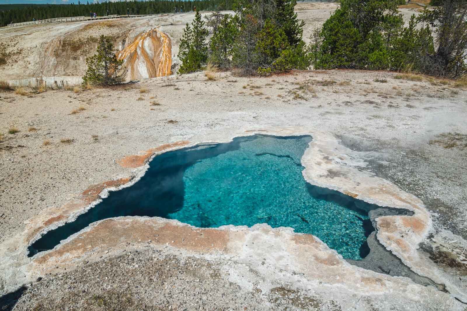 Preguntas frecuentes sobre cosas que hacer en el Parque Nacional de Yellowstone