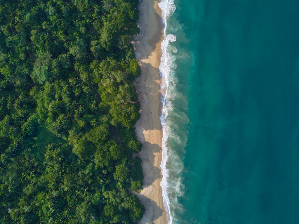 Una toma aérea con la jungla a un lado y una playa fina y un océano verde azulado al otro.