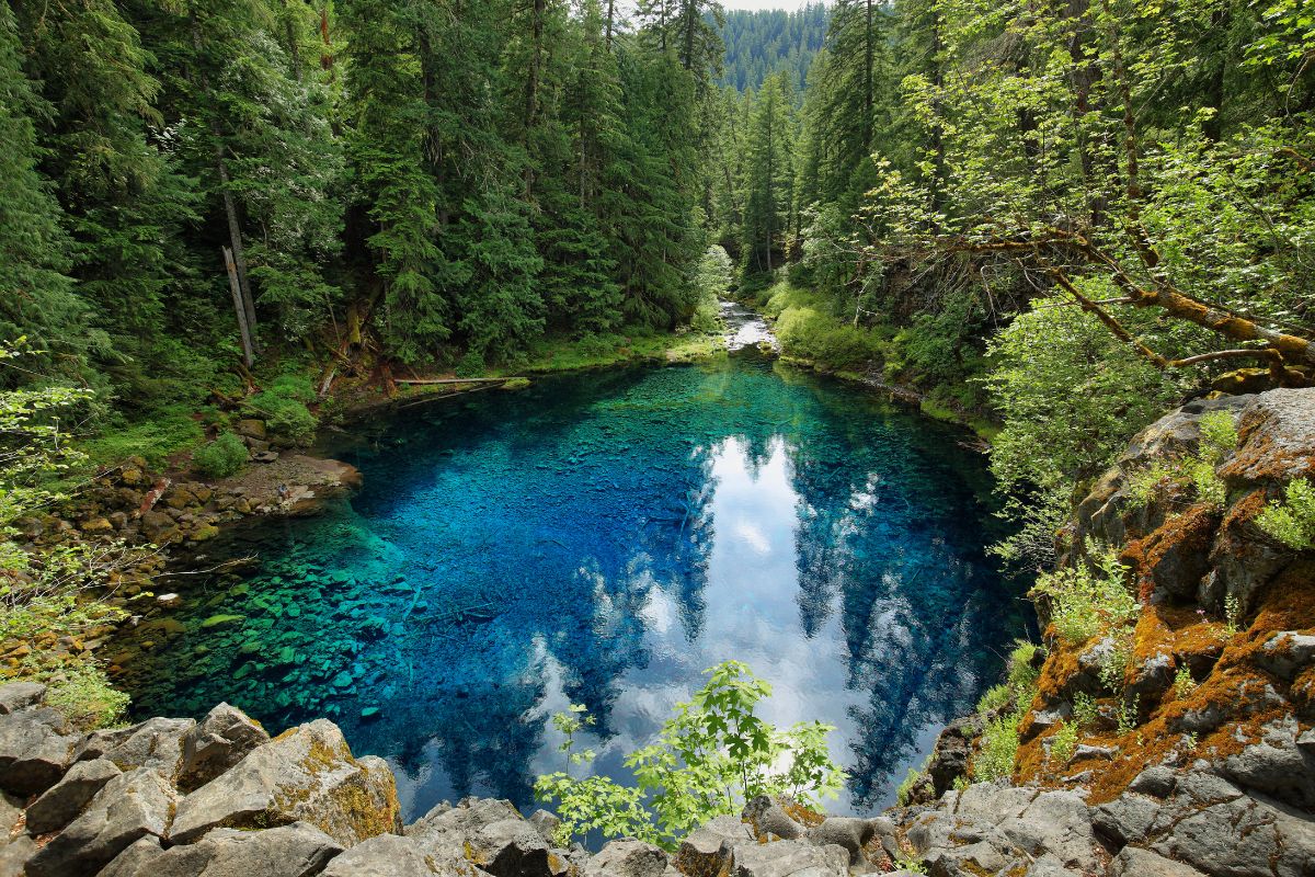 Una piscina azul clara con el reflejo de los árboles en un bosque verde