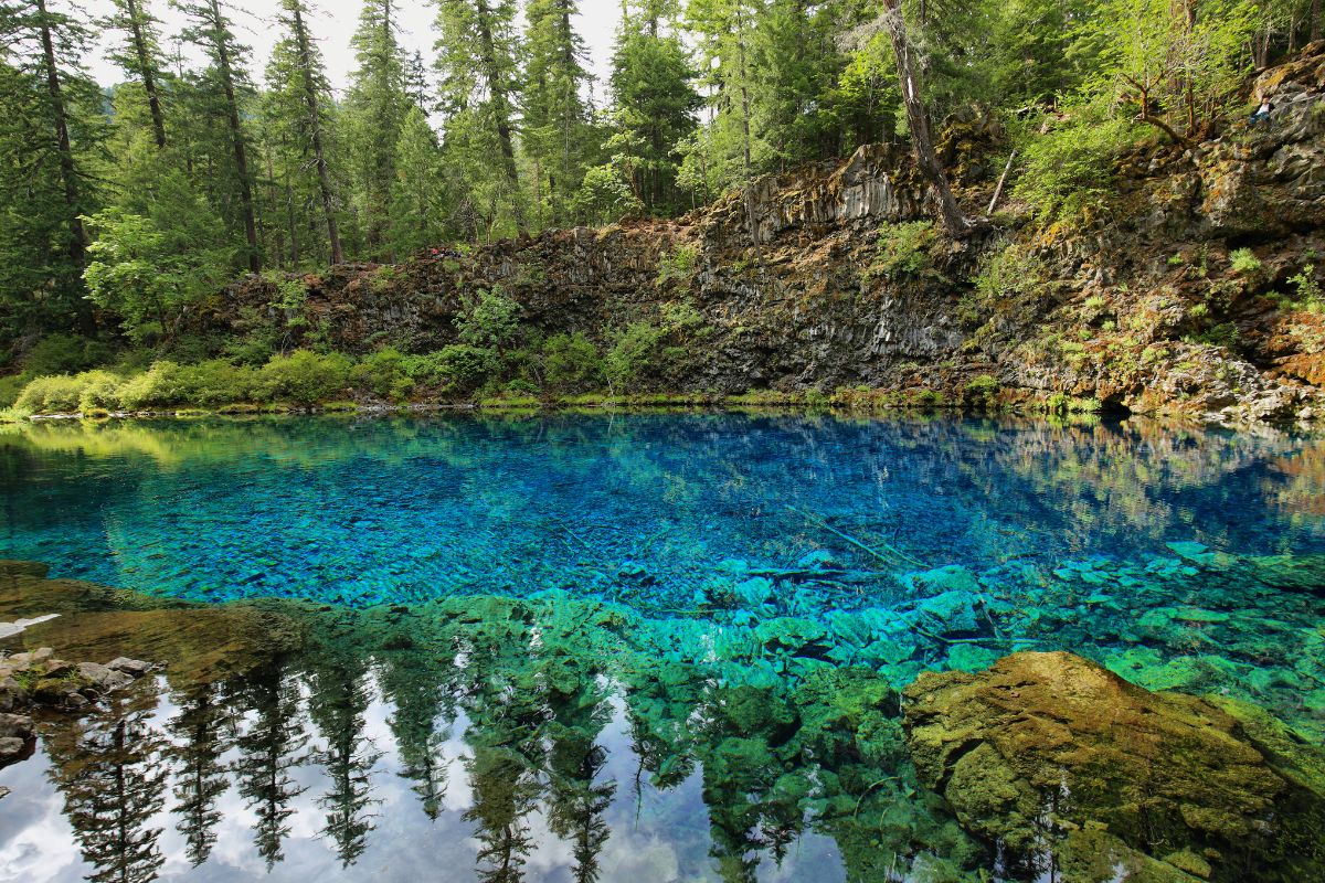Agua azul con los reflejos de los árboles que rodean la piscina de Tamolitch
