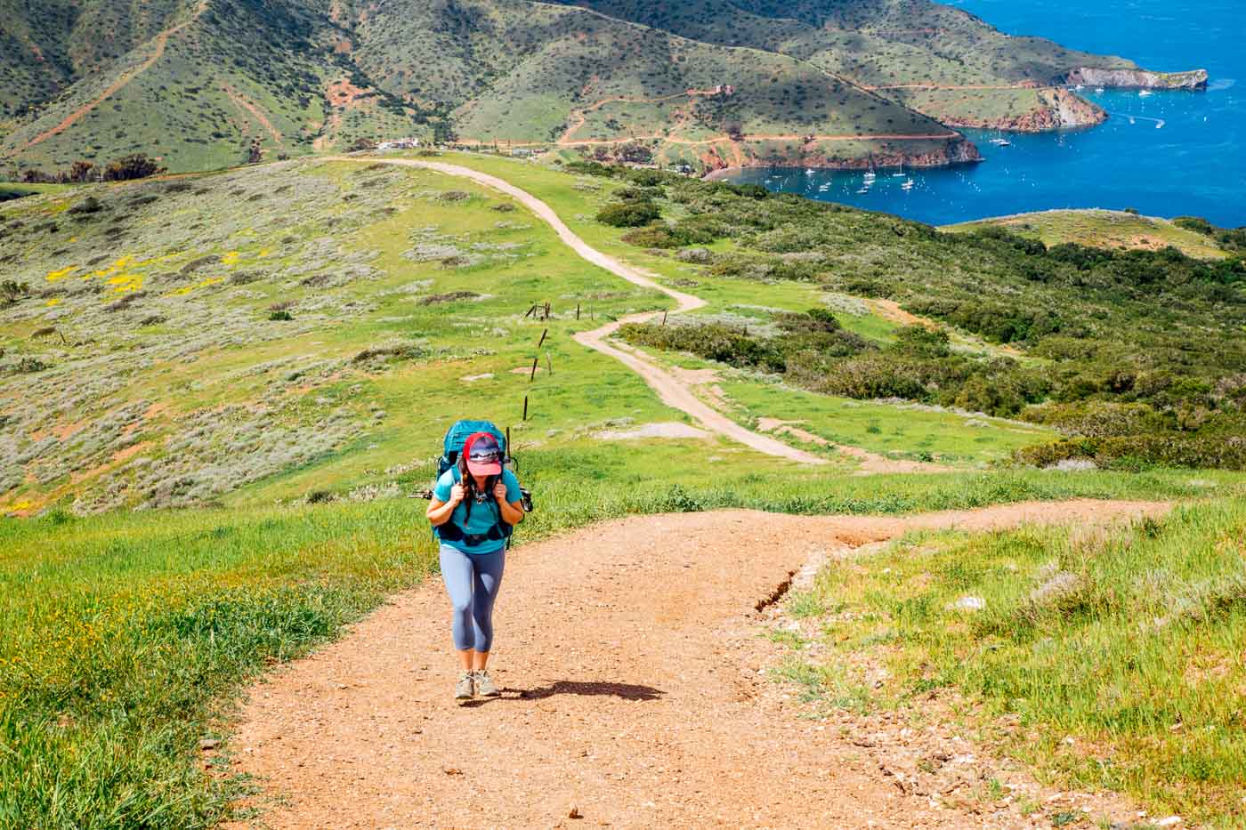 Una mujer escalando una colina empinada y sinuosa en el sendero Trans Catalina