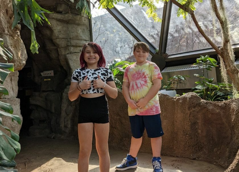 Muestra a 2 niños dentro de la casa de las mariposas en el zoológico de St Louis, St Louis Family Vacation Ideas
