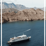 Imagen de Pinterest de un barco UnCruise navegando en el Mar de Cortés durante uno de sus cruceros de aventura
