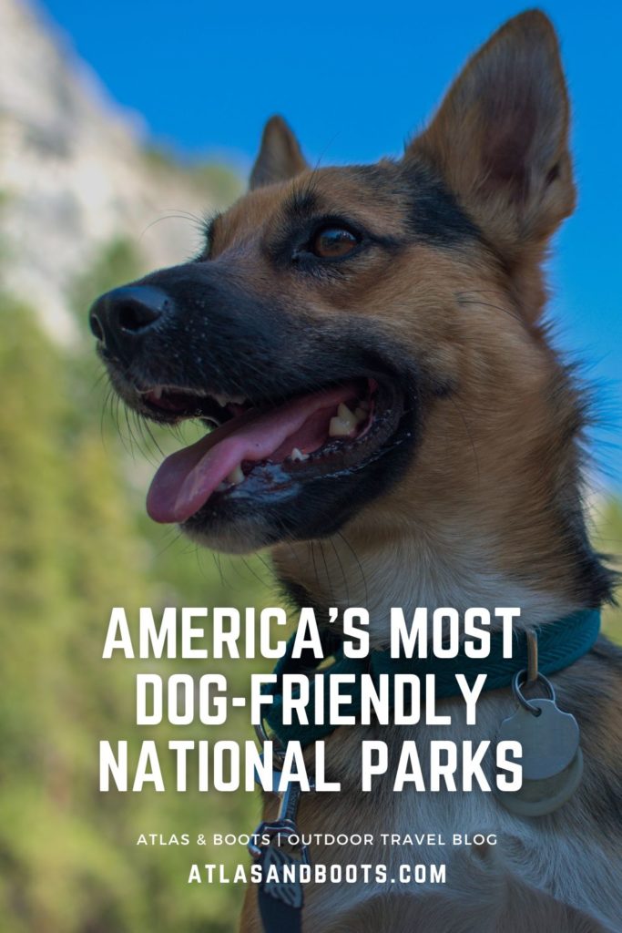 Pin de Pinterest de parques nacionales aptos para perros