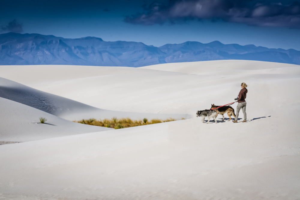 Una mujer y dos perros en el Parque Nacional White Sands