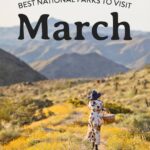 Los 7 mejores parques nacionales para visitar en marzo